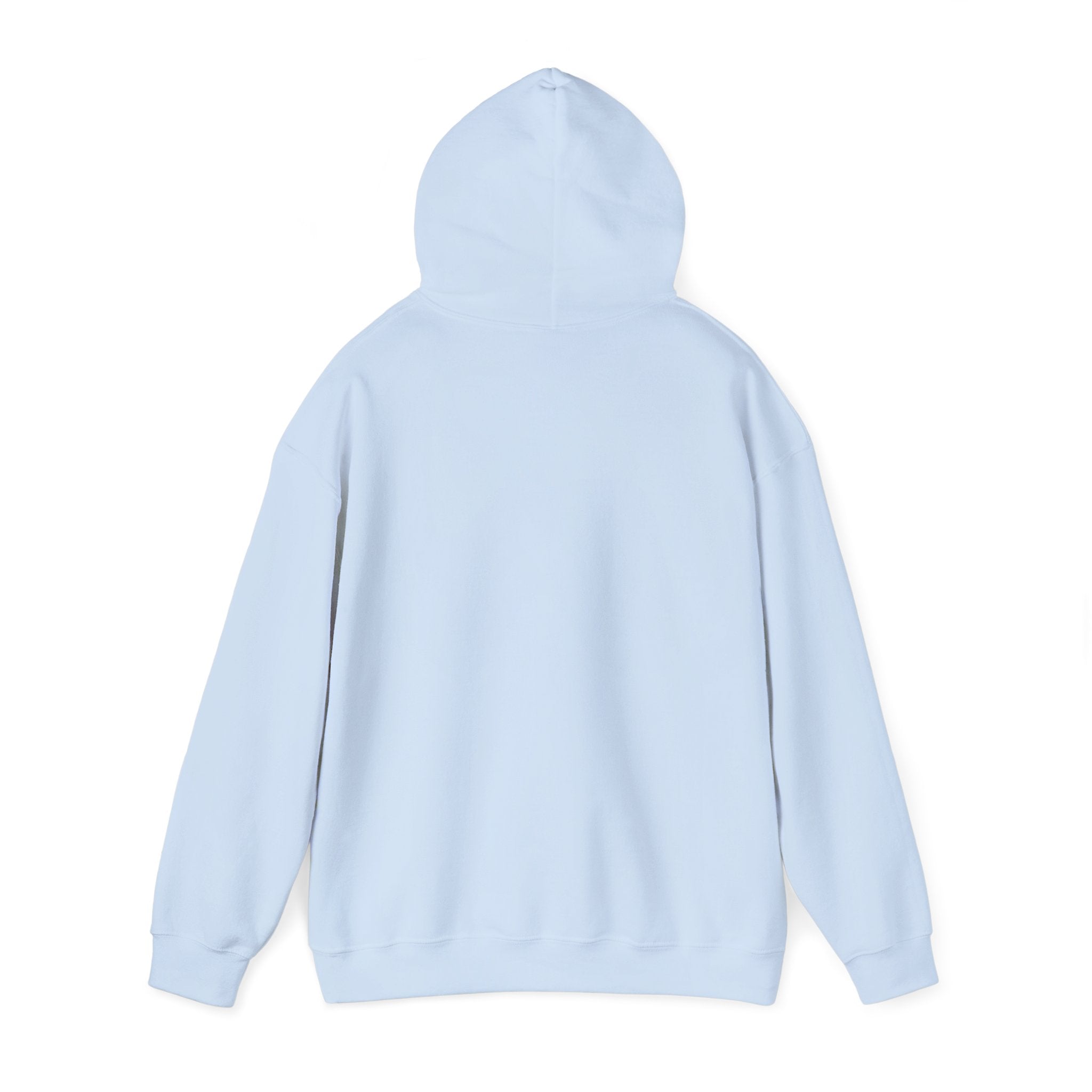 NLL UnBOXed Tampa Bay Snowbirds Primary Logo Hoodie