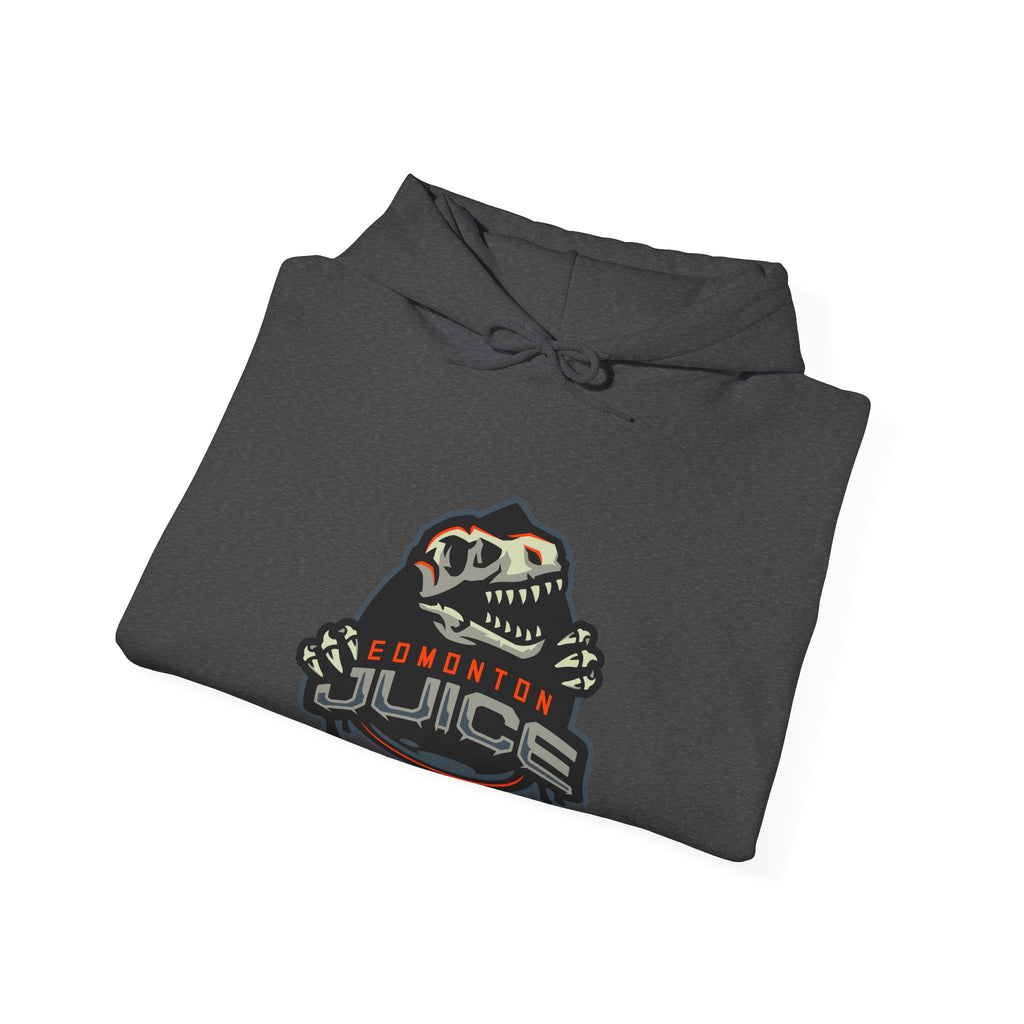 NLL UnBOXed Edmonton Juice Primary Logo Hoodie