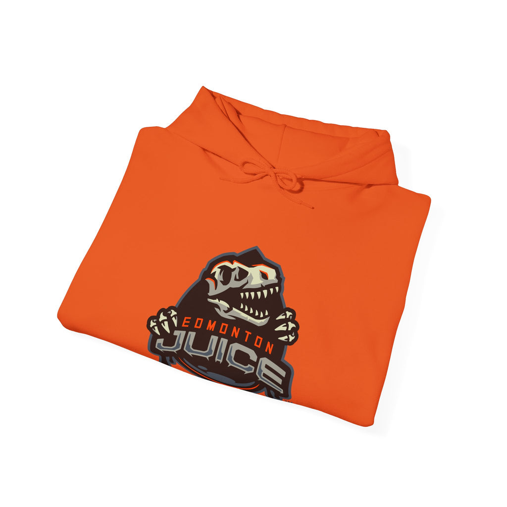 NLL UnBOXed Edmonton Juice Primary Logo Hoodie
