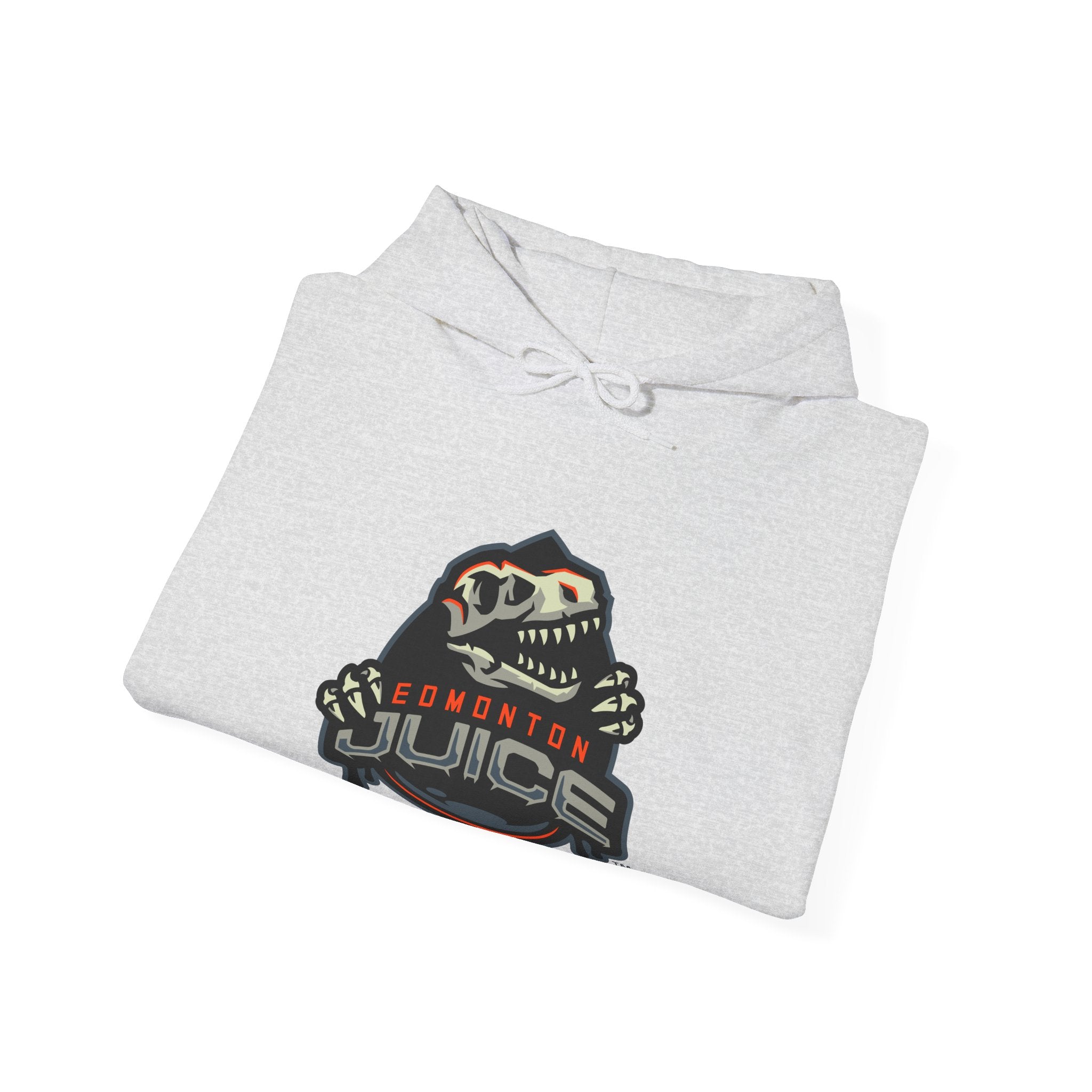 NLL UnBOXed Edmonton Juice Primary Logo Hoodie