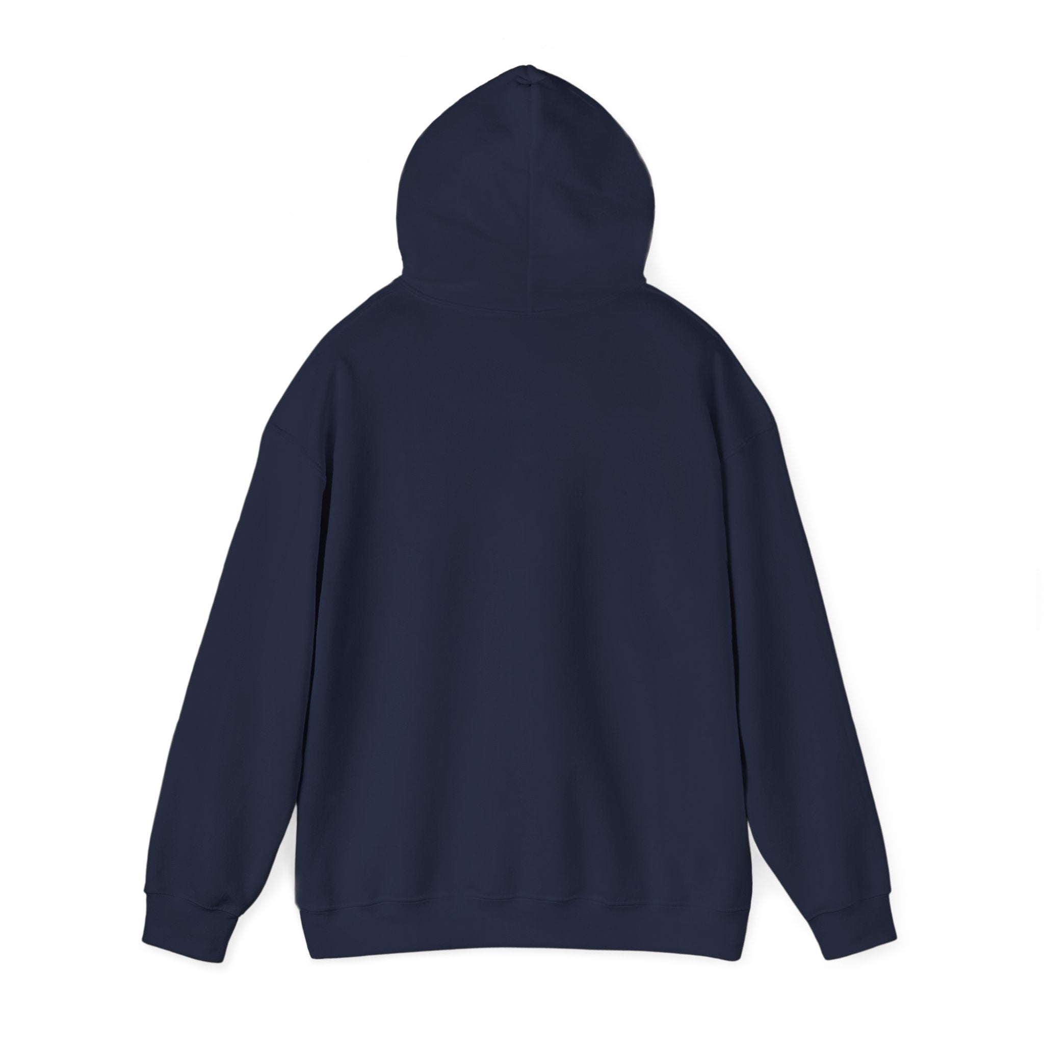 NLL UnBOXed Tampa Bay Snowbirds Primary Logo Hoodie