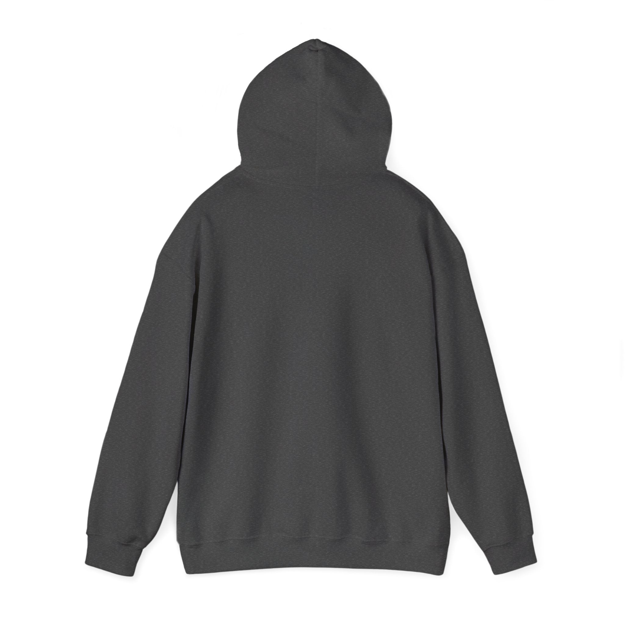 NLL UnBOXed Edmonton Juice Primary Logo Hoodie