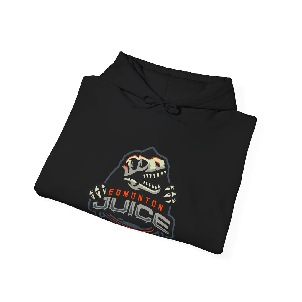 NLL UnBOXed Edmonton Juice Primary Logo Hoodie